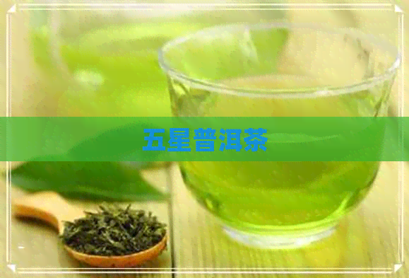 五星普洱茶