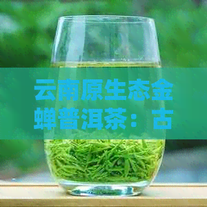 云南原生态金蝉普洱茶：古法烘焙，醇厚回的秘密