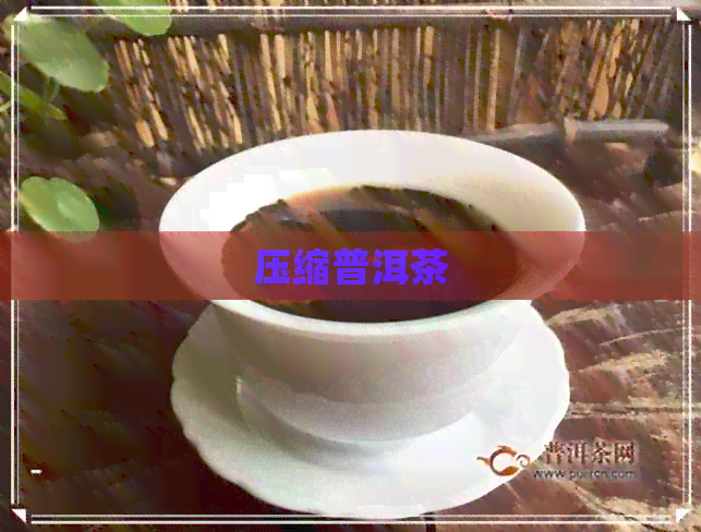 压缩普洱茶