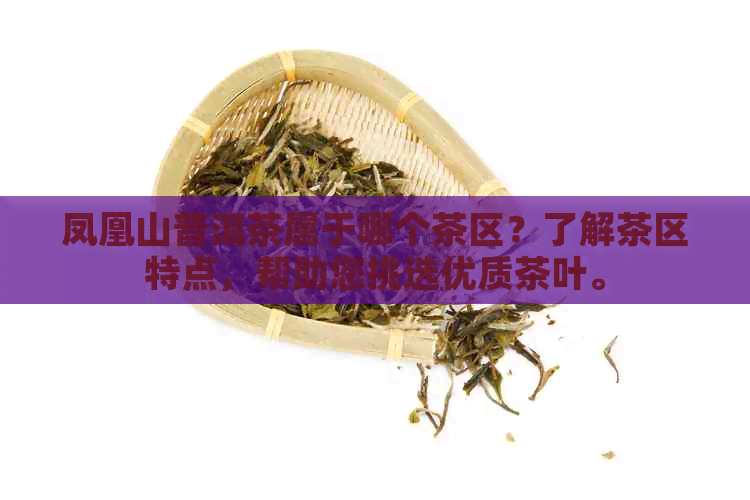 凤凰山普洱茶属于哪个茶区？了解茶区特点，帮助您挑选优质茶叶。