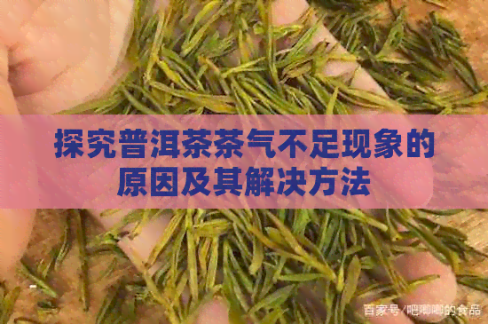 探究普洱茶茶气不足现象的原因及其解决方法