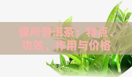 傈所普洱茶：特点、功效、作用与价格一览，了解普洱茶的全貌。