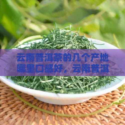 云南普洱茶的几个产地哪里口感好，云南普洱茶各产地口感对比分析