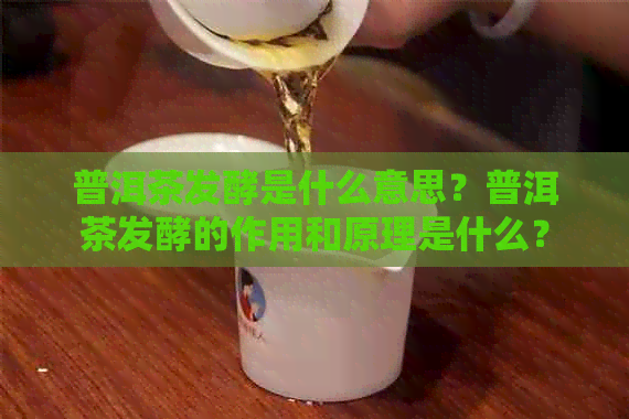 普洱茶发酵是什么意思？普洱茶发酵的作用和原理是什么？