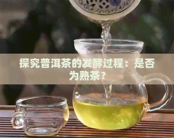 探究普洱茶的发酵过程：是否为熟茶？