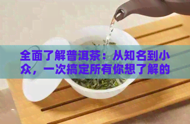 全面了解普洱茶：从知名到小众，一次搞定所有你想了解的