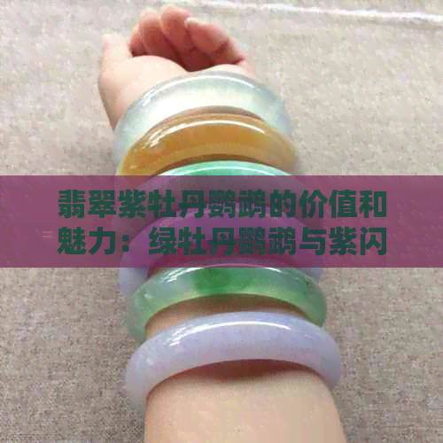 翡翠紫牡丹鹦鹉的价值和魅力：绿牡丹鹦鹉与紫闪鹦鹉的区别