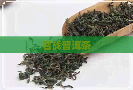 茗战普洱茶