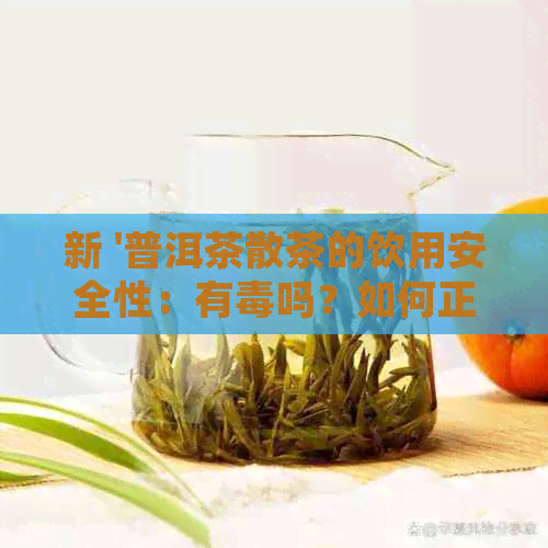 新 '普洱茶散茶的饮用安全性：有吗？如何正确饮用？'