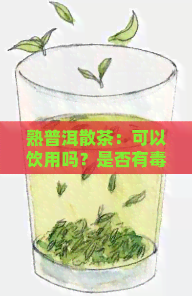 熟普洱散茶：可以饮用吗？是否有？如何正确饮用以避免潜在风险？