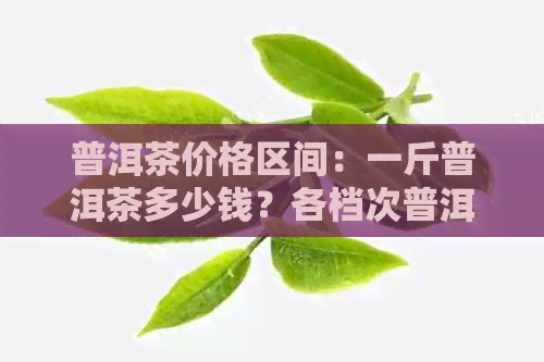 普洱茶价格区间：一斤普洱茶多少钱？各档次普洱茶价格解析