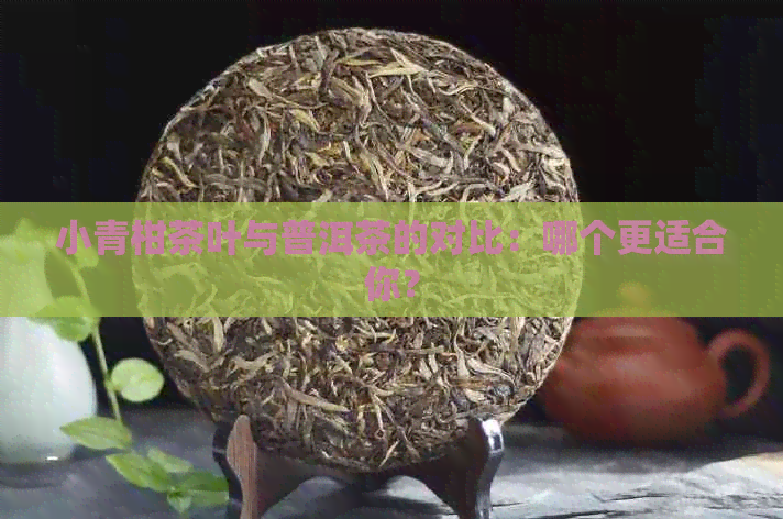 小青柑茶叶与普洱茶的对比：哪个更适合你？