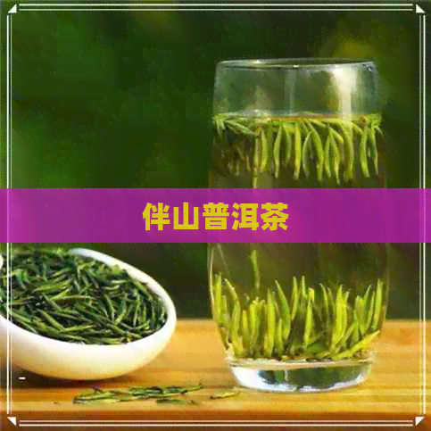 伴山普洱茶