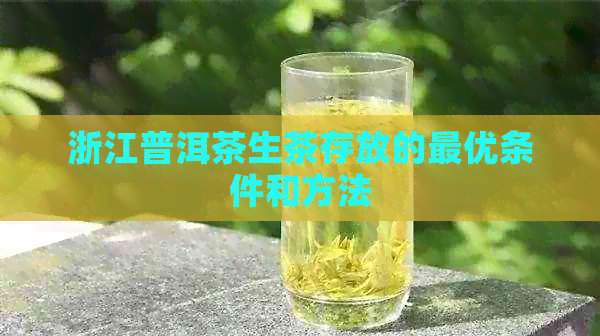 浙江普洱茶生茶存放的更优条件和方法