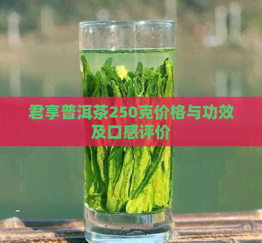 君享普洱茶250克价格与功效及口感评价