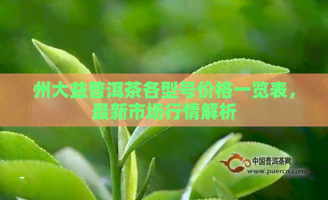 州大益普洱茶各型号价格一览表，最新市场行情解析