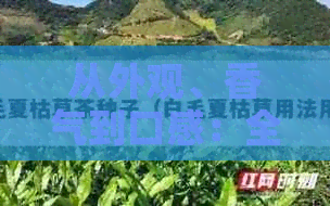 从外观、香气到口感：全面品评普洱茶的必备技巧与注意事项