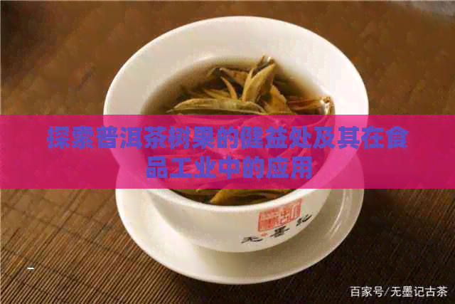 探索普洱茶树果的健益处及其在食品工业中的应用