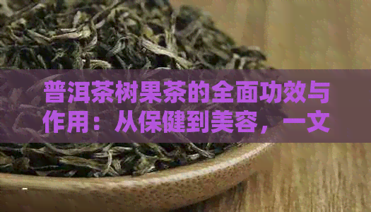 普洱茶树果茶的全面功效与作用：从保健到美容，一文解答您的所有疑问