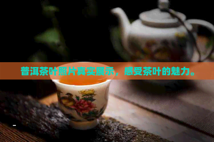 普洱茶叶照片真实展示，感受茶叶的魅力。