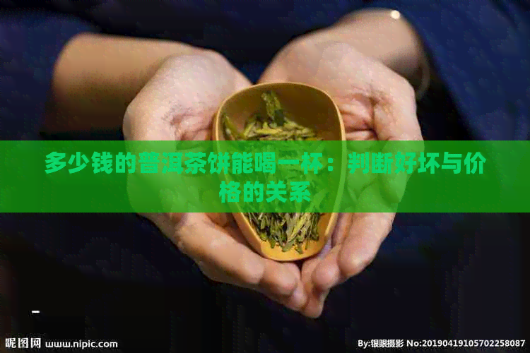 多少钱的普洱茶饼能喝一杯：判断好坏与价格的关系