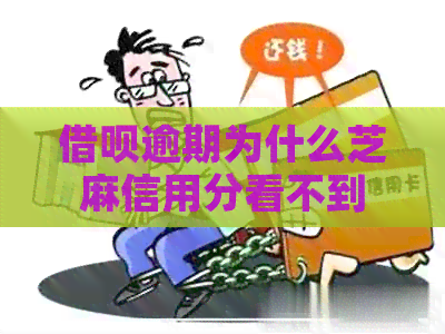 借呗逾期为什么芝麻信用分看不到