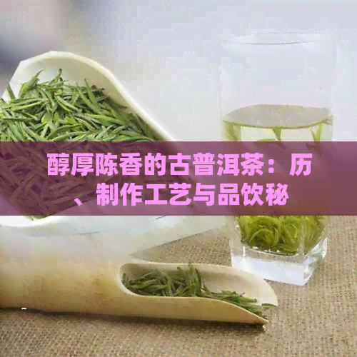 醇厚陈香的古普洱茶：历、制作工艺与品饮秘