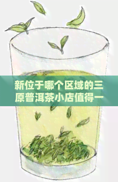 新位于哪个区域的三原普洱茶小店值得一游？