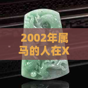 2002年属马的人在XXXX年应该佩戴什么护身符？