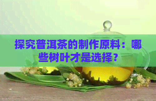 探究普洱茶的制作原料：哪些树叶才是选择？