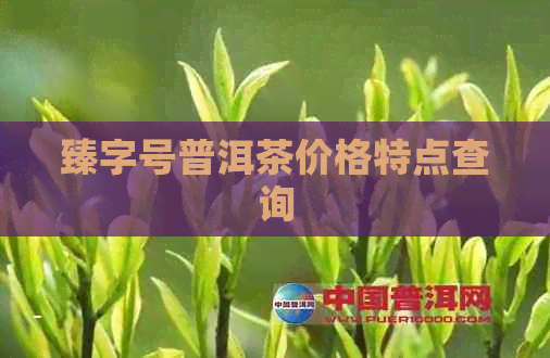 臻字号普洱茶价格特点查询