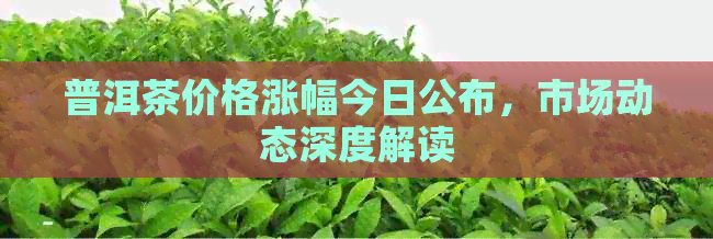 普洱茶价格涨幅今日公布，市场动态深度解读