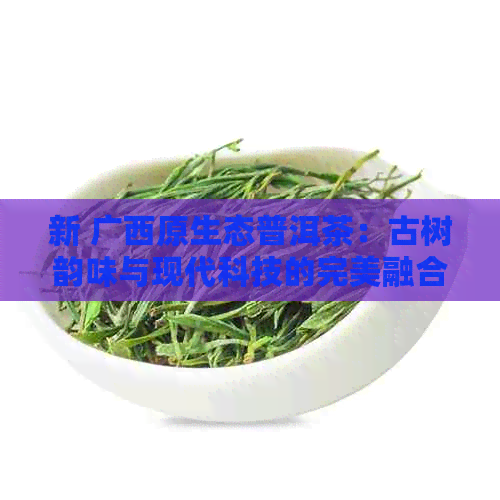 新 广西原生态普洱茶：古树韵味与现代科技的完美融合