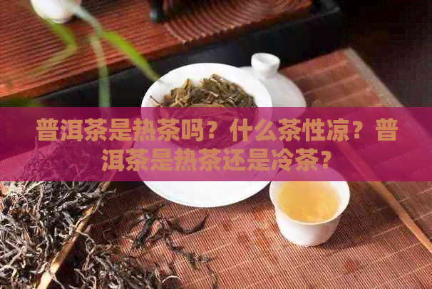 普洱茶是热茶吗？什么茶性凉？普洱茶是热茶还是冷茶？