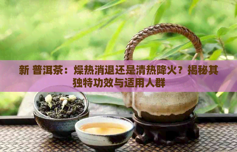 新 普洱茶：燥热消退还是清热降火？揭秘其独特功效与适用人群