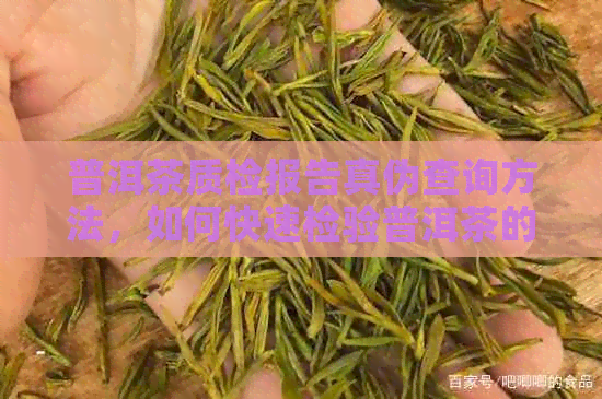 普洱茶质检报告真伪查询方法，如何快速检验普洱茶的品质和真实性。