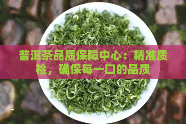 普洱茶品质保障中心：精准质检，确保每一口的品质