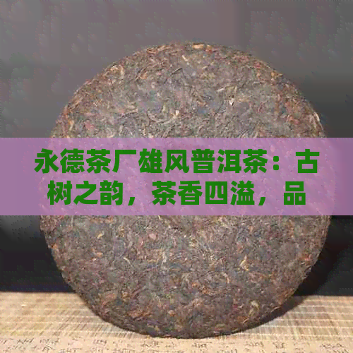 永德茶厂雄风普洱茶：古树之韵，茶香四溢，品茗人生