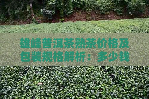 雄峰普洱茶熟茶价格及包装规格解析：多少钱一斤盒瓶，高山木系列详解