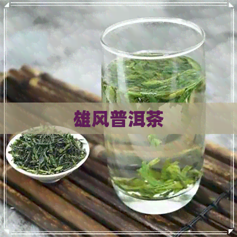 雄风普洱茶