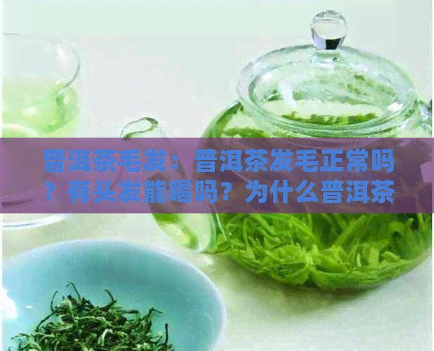 普洱茶毛发：普洱茶发毛正常吗？有头发能喝吗？为什么普洱茶会有毛毛？