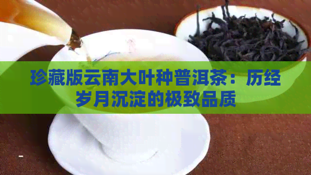 珍藏版云南大叶种普洱茶：历经岁月沉淀的极致品质