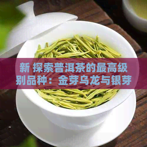 新 探索普洱茶的更高级别品种：金芽乌龙与银芽白毫的奥秘