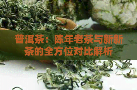 普洱茶：陈年老茶与新新茶的全方位对比解析