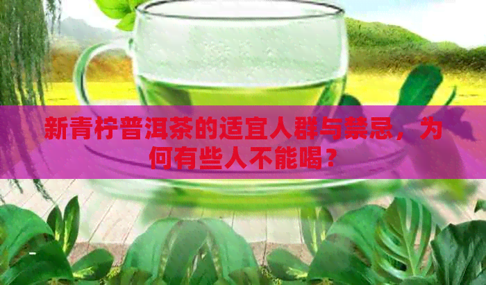 新青柠普洱茶的适宜人群与禁忌，为何有些人不能喝？