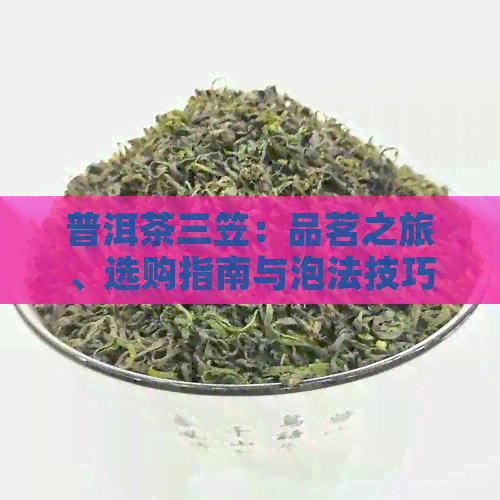 普洱茶三笠：品茗之旅、选购指南与泡法技巧，让你全面了解普洱茶的魅力