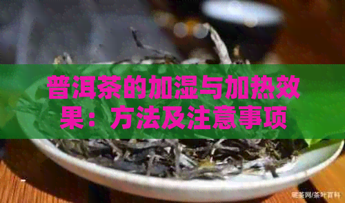 普洱茶的加湿与加热效果：方法及注意事项