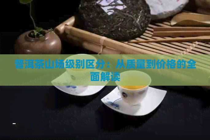 普洱茶山场级别区分：从质量到价格的全面解读