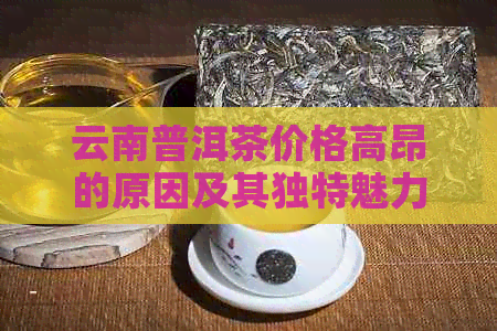 云南普洱茶价格高昂的原因及其独特魅力