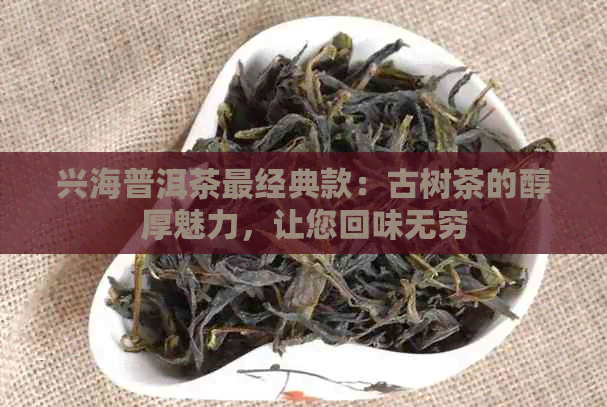 兴海普洱茶最经典款：古树茶的醇厚魅力，让您回味无穷